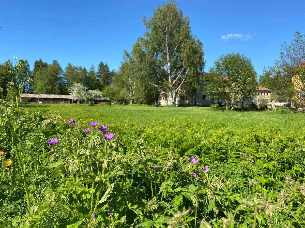 Vojakkala Vandrarhem Haparanda (Norrbotten) Exterior foto